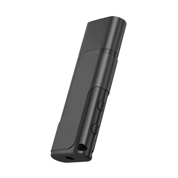 CLEO Dual-Purpose USB Flash Drive & Voice Recorder | Zetronix
