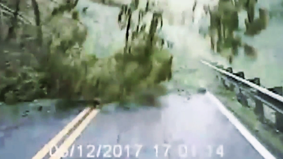 Driver's dashcam captures trees falling on car